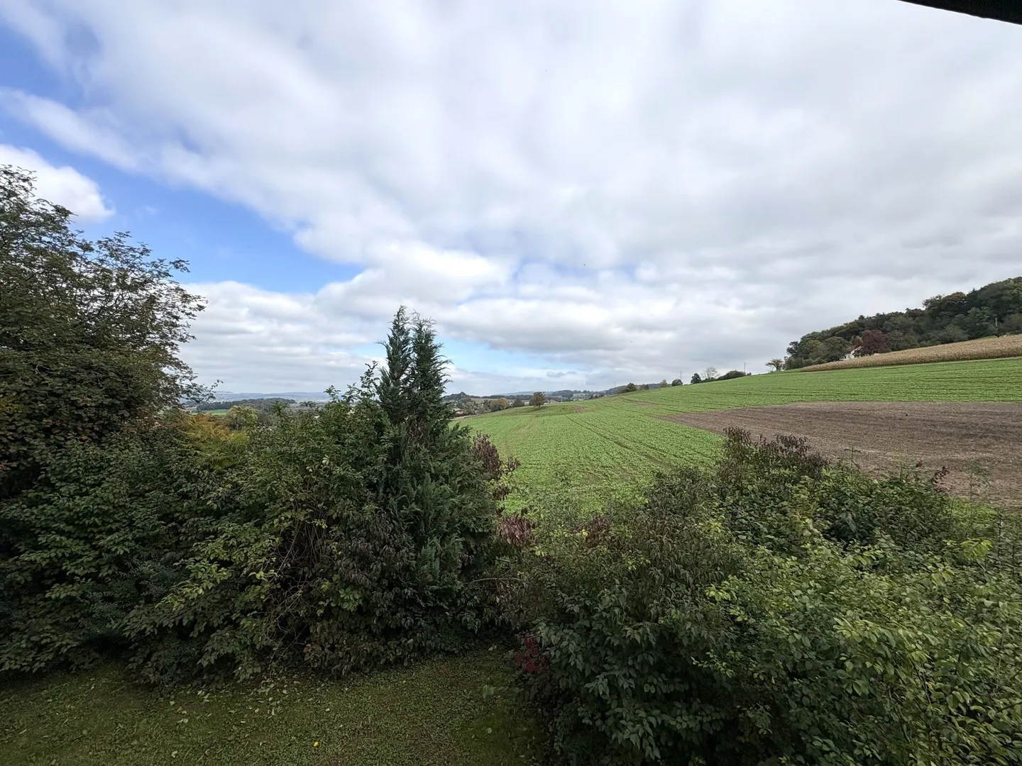 Sogno Familiare nel Verde - Casa Unifamiliare Moderna di 7½ Stanze - Foto 12 di 15