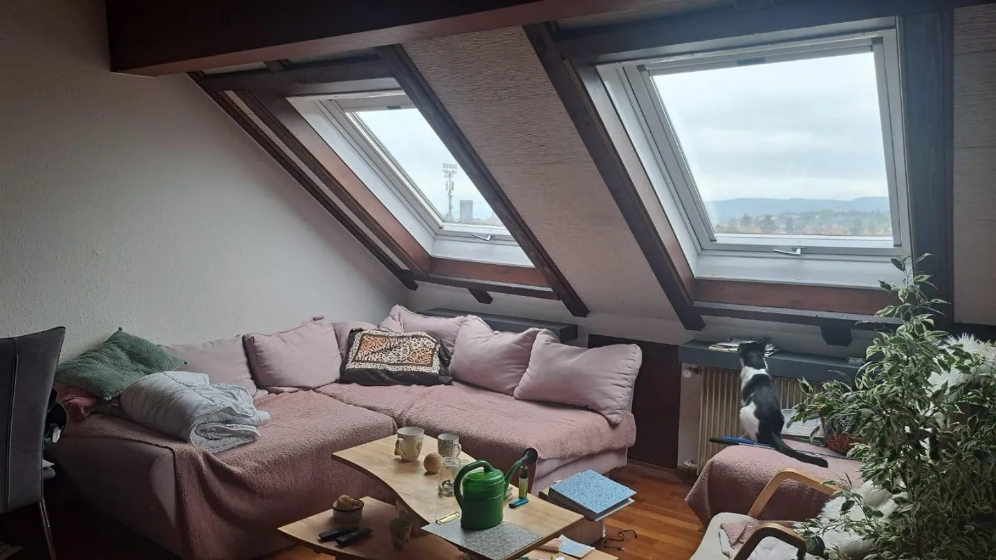 Appartamento mansardato 2 camere 65m2 vicino al parco Schützenmatt - Foto 2 di 8