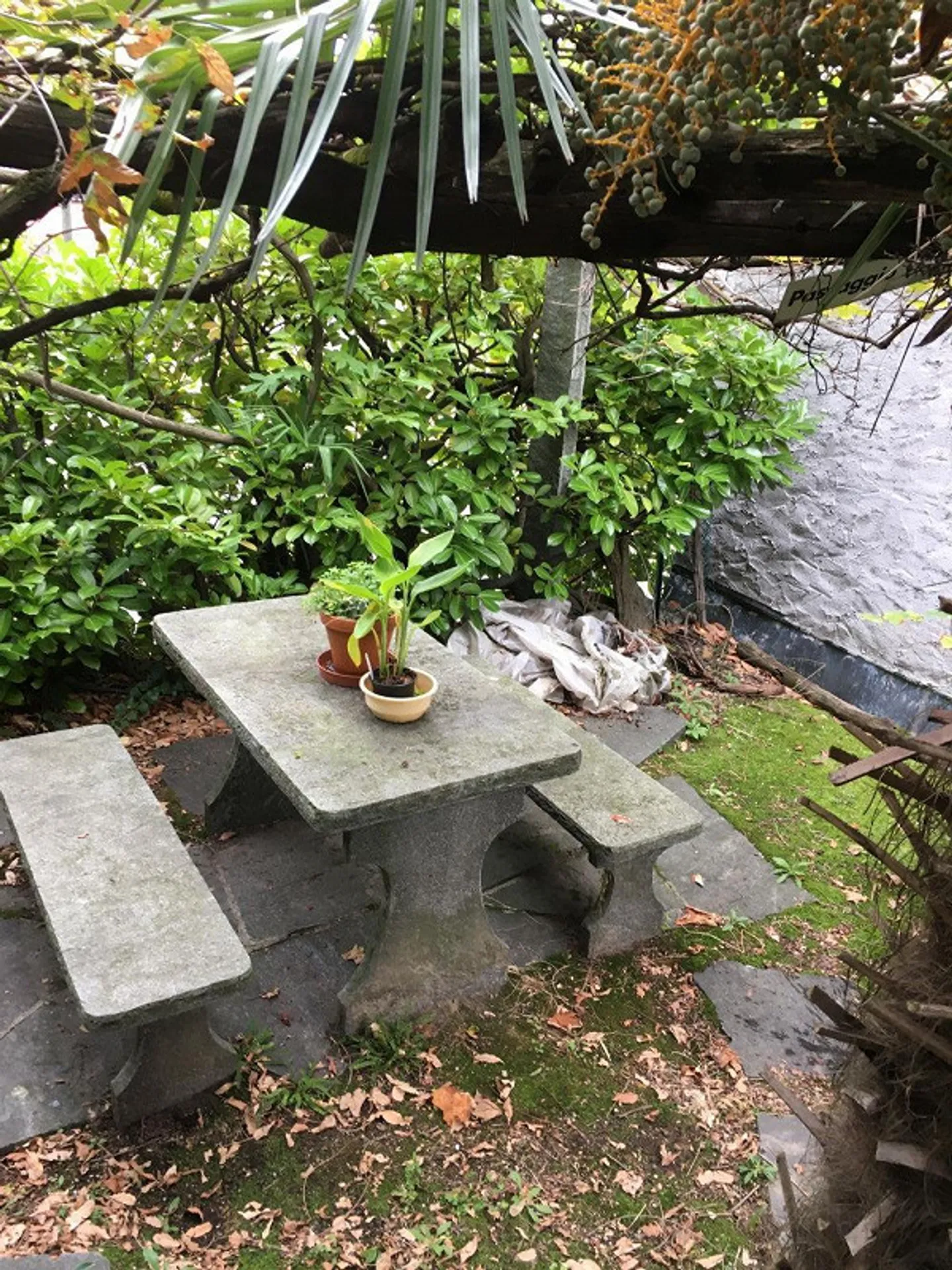 Original Ticino House in the Nucleus of Brione s.Minusio - Photo 8 of 9