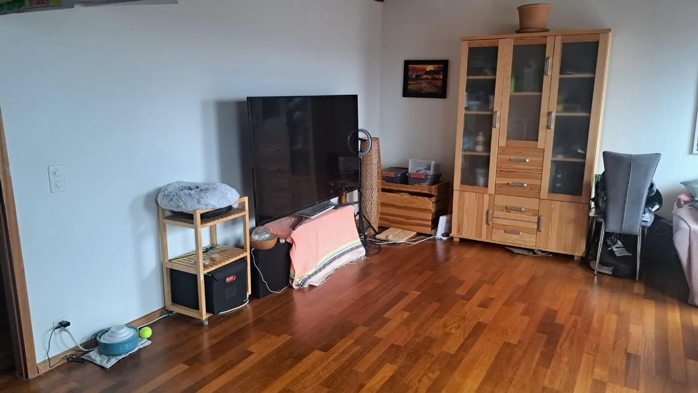 Appartamento mansardato 2 camere 65m2 vicino al parco Schützenmatt - Foto 4 di 8