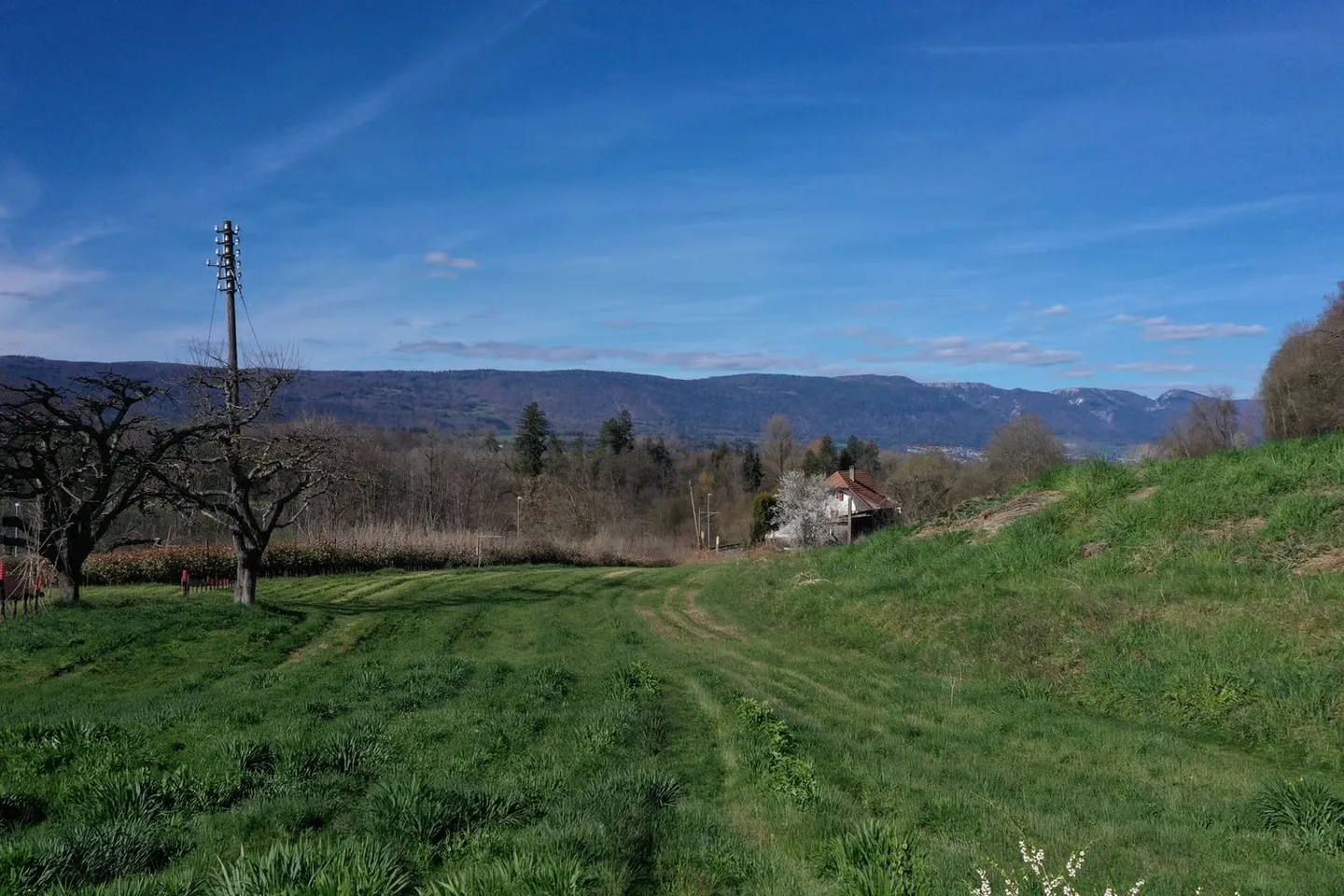 Dreamlike building plot adjacent to the agricultural zone - perfect location for your own home - Photo 2 of 3