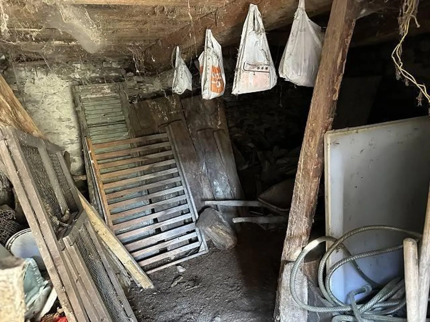 Grande proprietà con molta erba e foresta in una posizione molto soleggiata e tranquilla - Foto 35 di 39