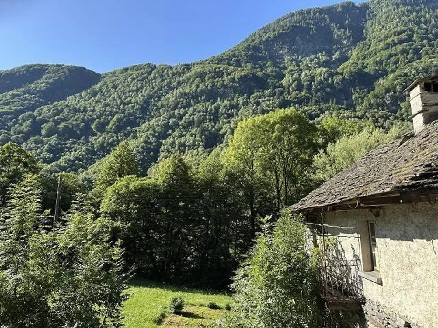 Grande proprietà con molta erba e foresta in una posizione molto soleggiata e tranquilla - Foto 37 di 39