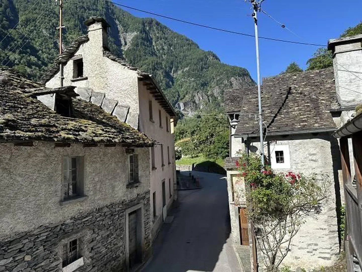 Grande proprietà con molta erba e foresta in una posizione molto soleggiata e tranquilla - Foto 38 di 39