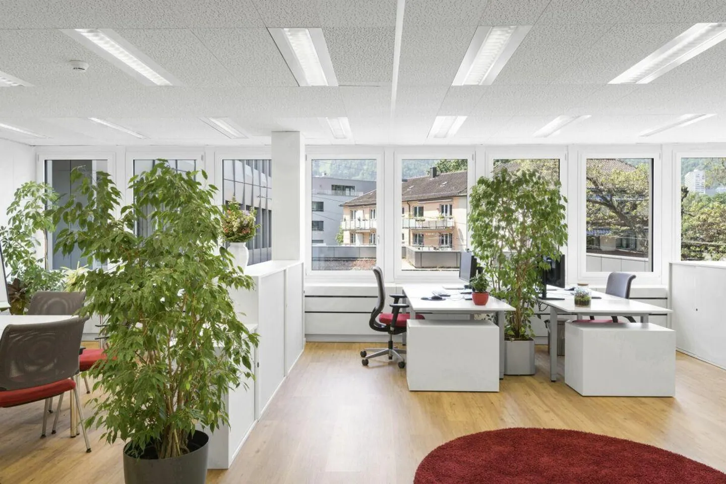 Ufficio ispiratore con vista sul verde - Foto 6 di 15