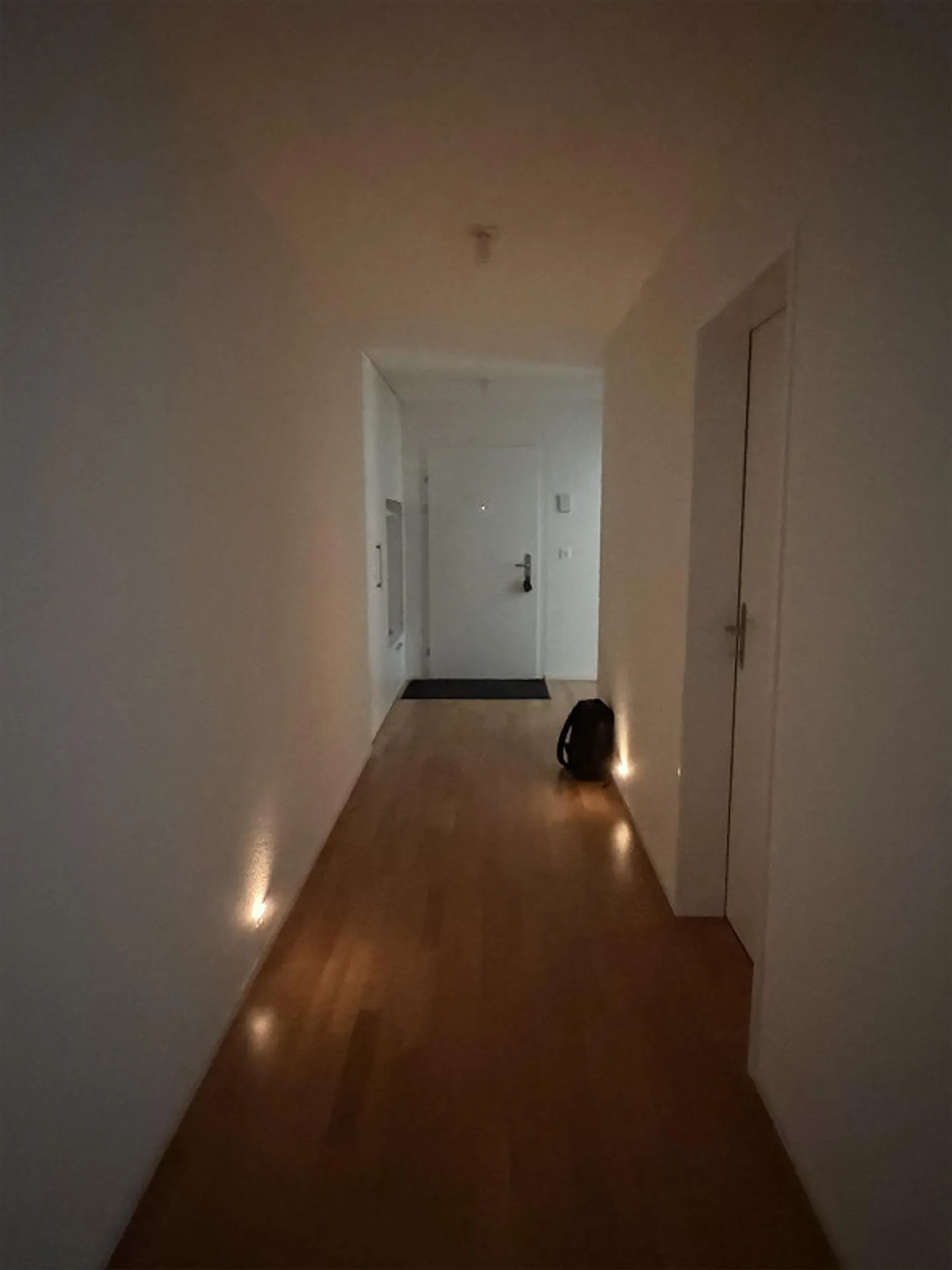Ottimo appartamento di 2,5 stanze nel bellissimo Thayngen - Foto 7 di 13