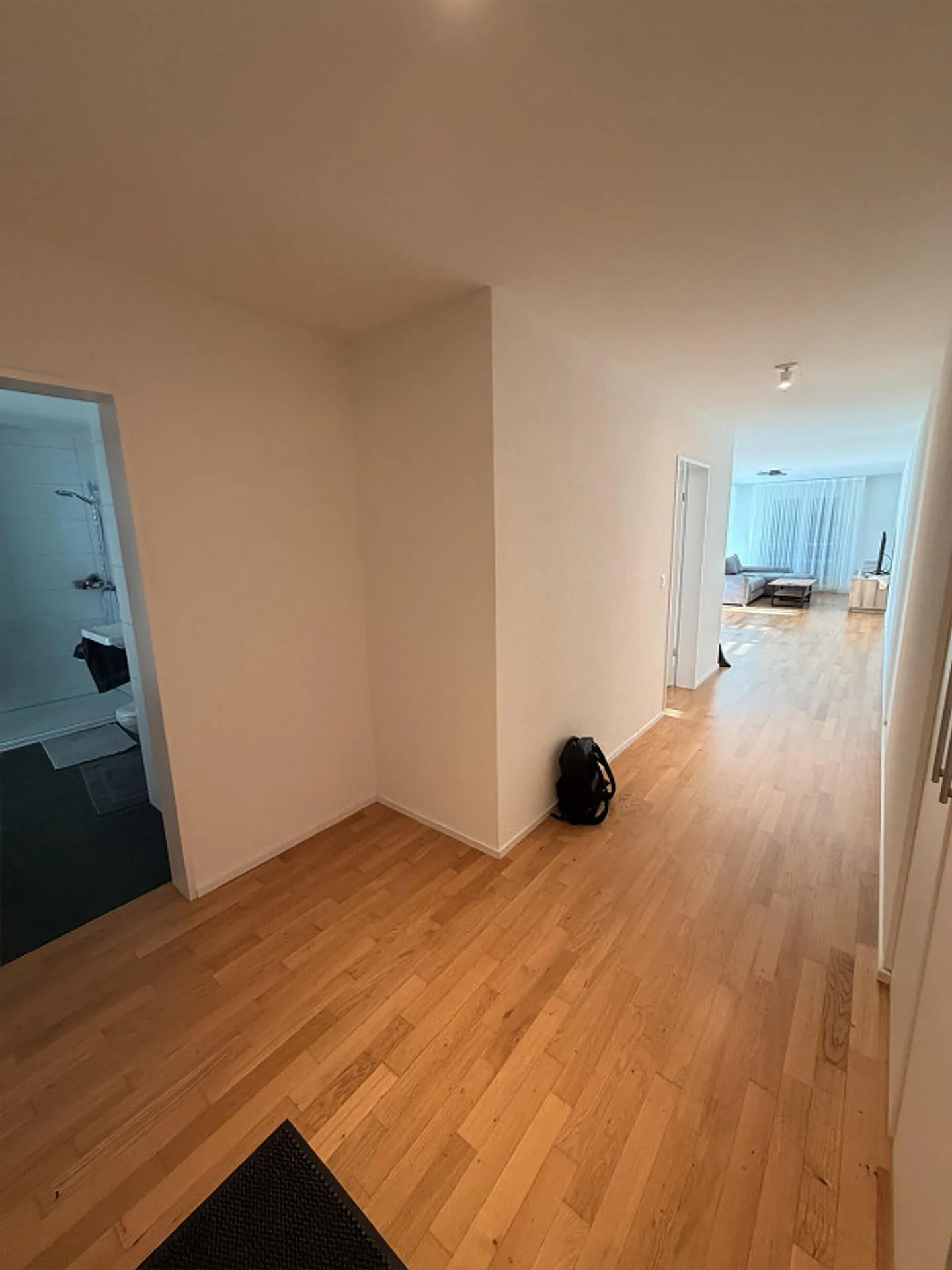 Ottimo appartamento di 2,5 stanze nel bellissimo Thayngen - Foto 8 di 13
