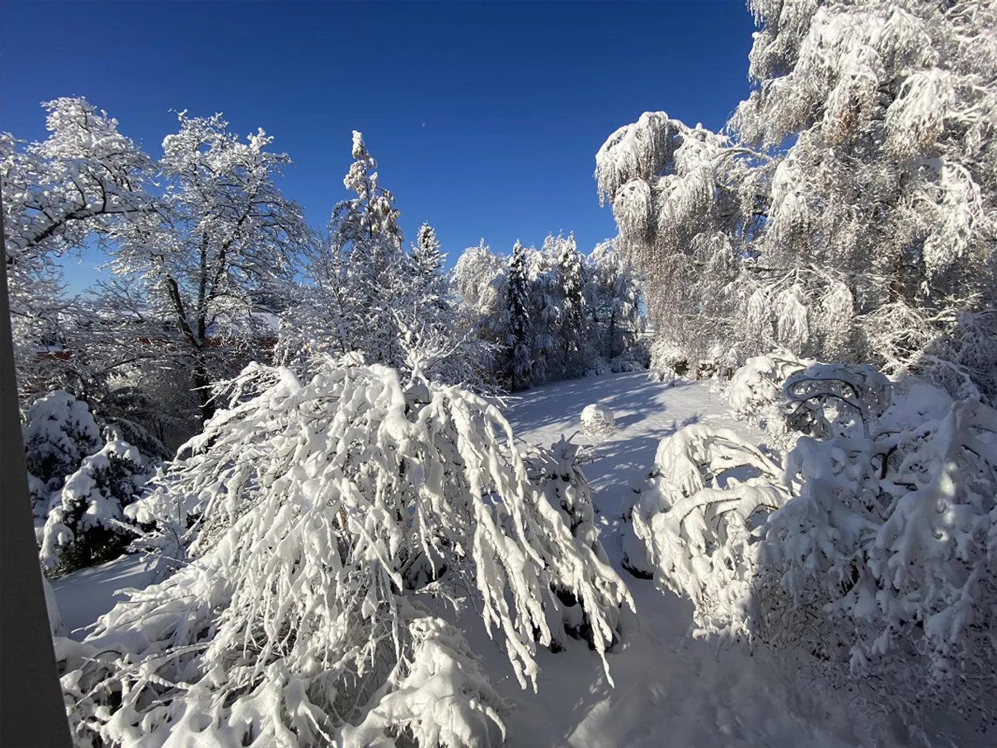 Appartamento affascinante e spazioso nel parco - Foto 15 di 16