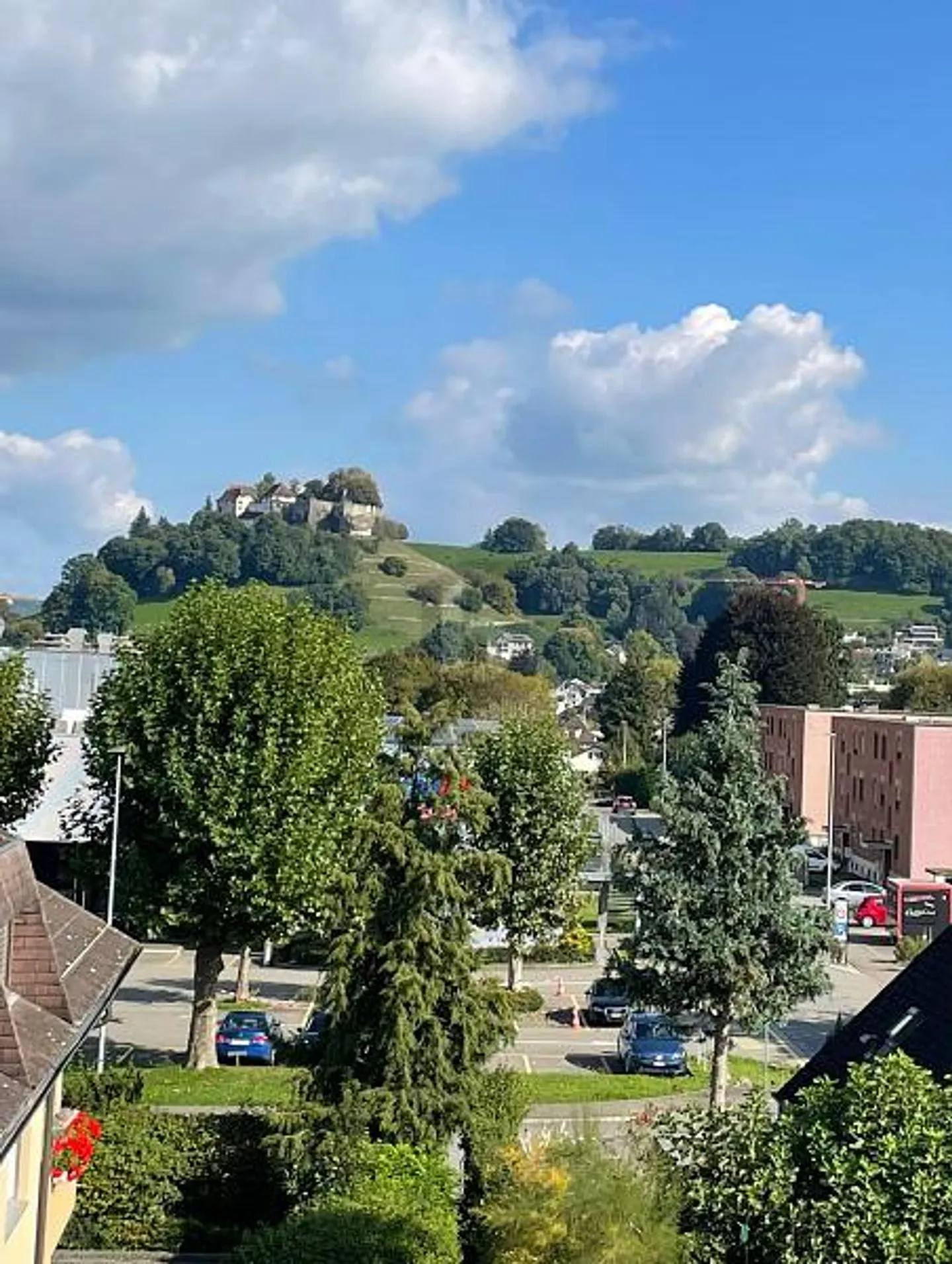 VISTA DA SOGNO SUL CASTELLO DI LENZBURG! - Foto 1 di 6