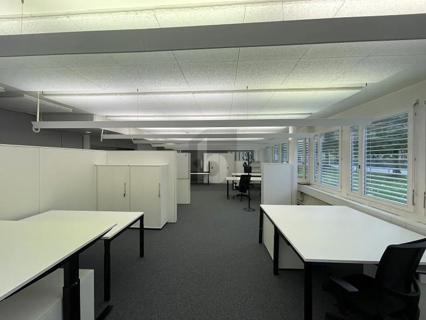 Geräumige Bürofläche in Arbon - Foto 5 von 6