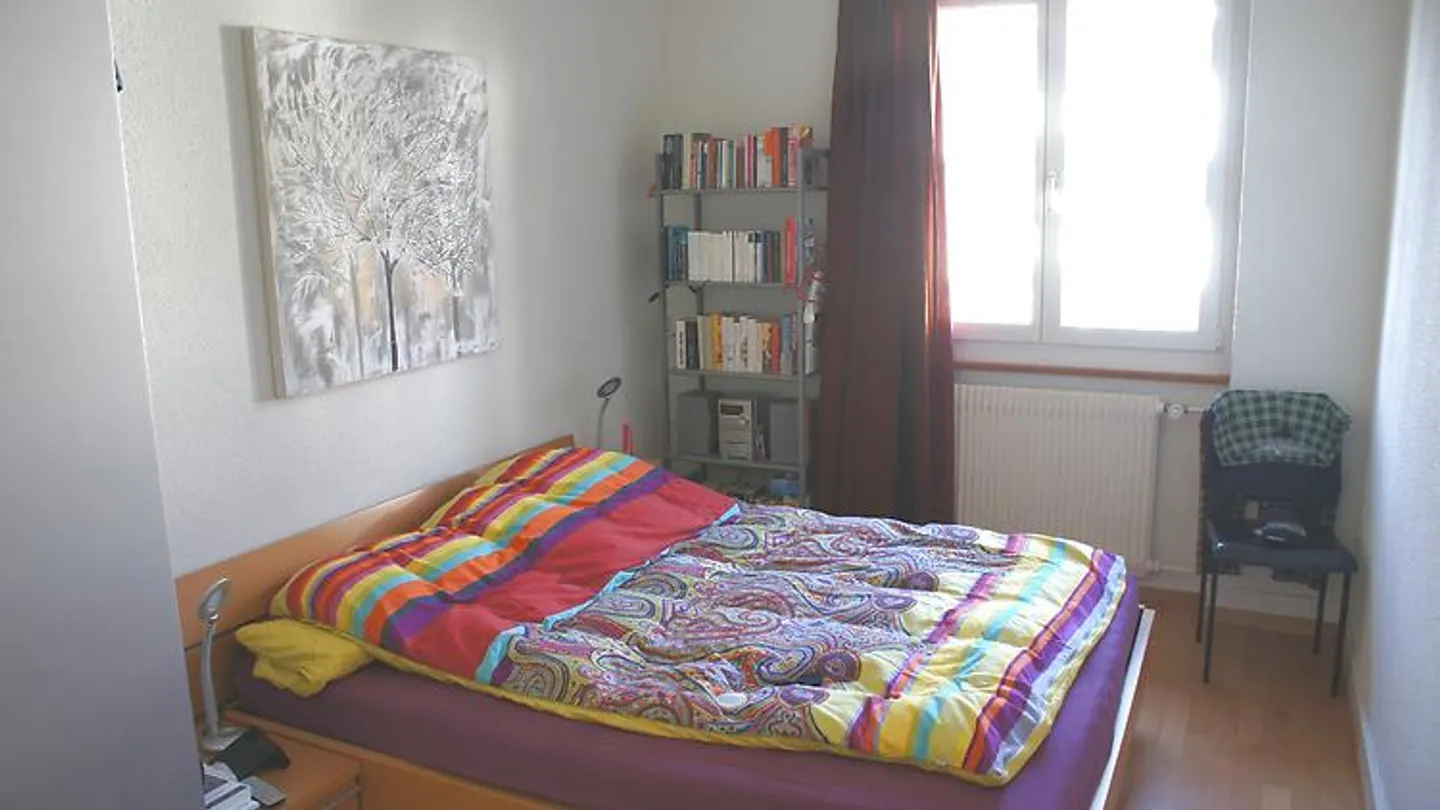 APPARTAMENTO 3 LOCALI A BERN, ARREDATO, TEMPORANEO - Foto 8 di 10