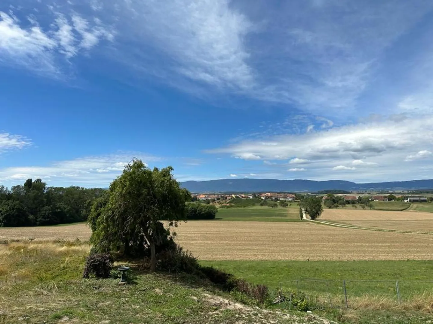 Wohnung kaufen - Foto 7 von 7