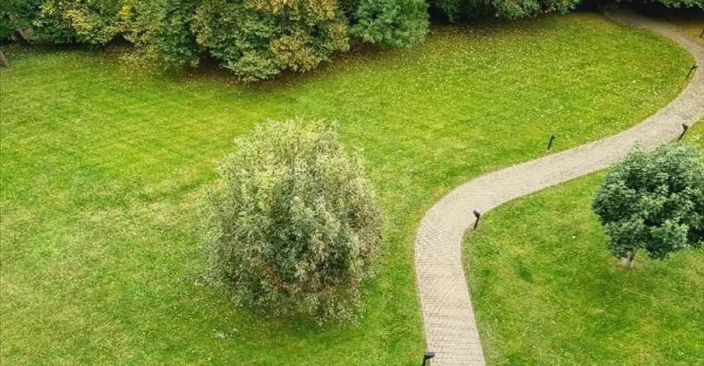 Schöne Wohnung - Genf - Foto 4 von 8