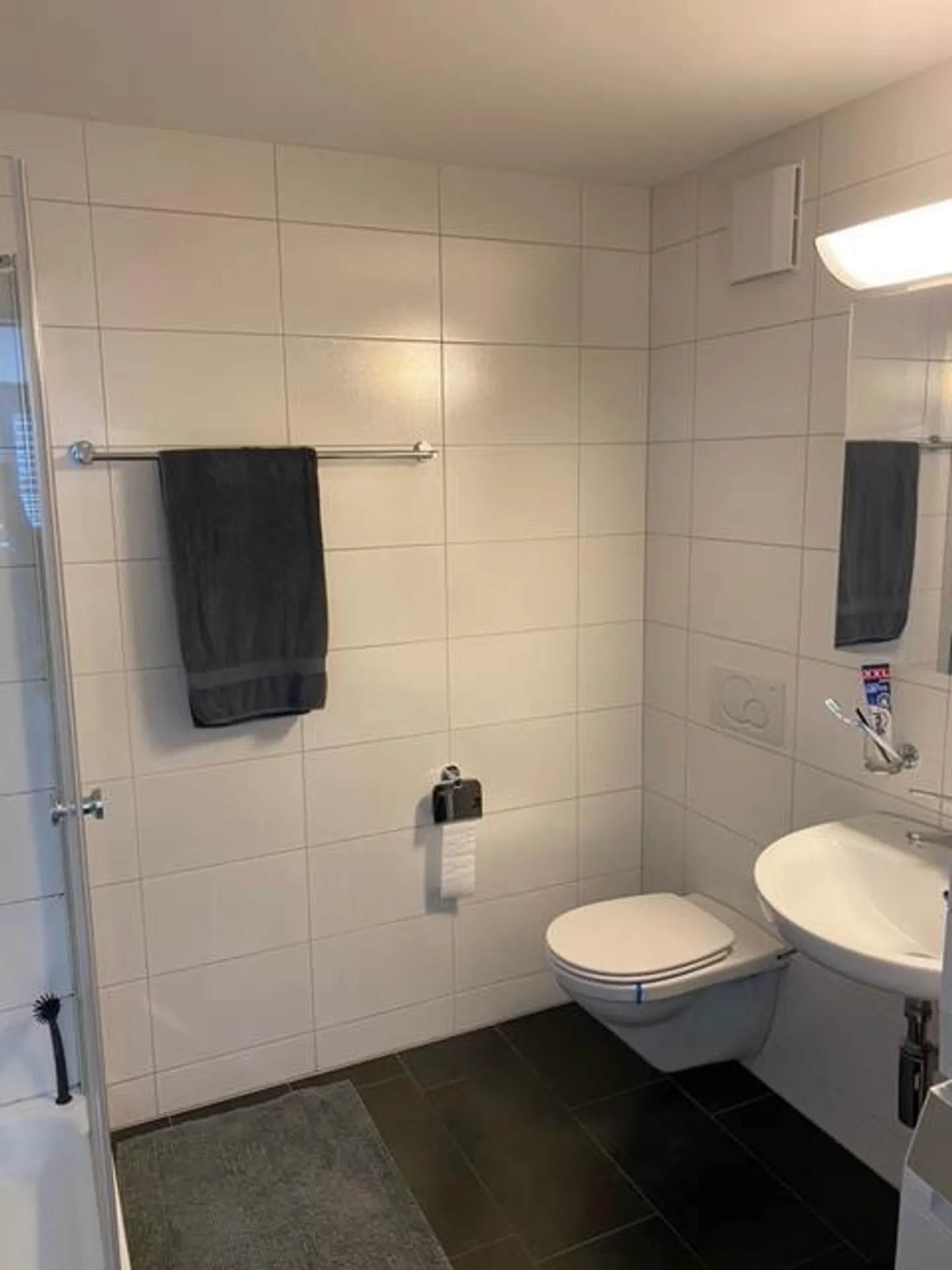 Appartement moderne lumineux de 4,5 pièces au rez-de-chaussée à louer - Photo 10 sur 14