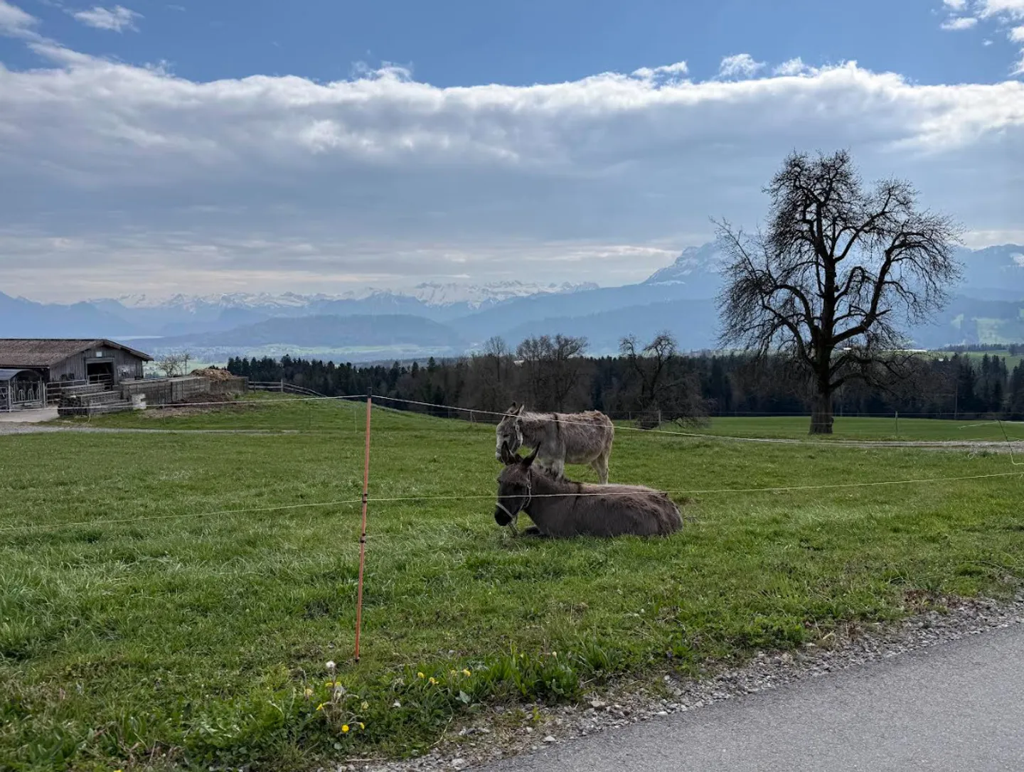 Appartement rénové de 3,5 pièces avec charme historique, Hellbühl - Photo 9 sur 11