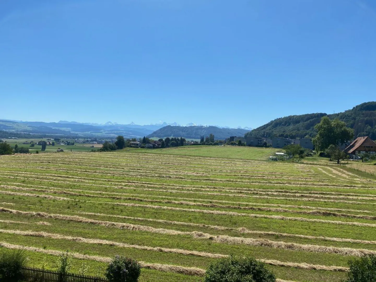 Living with a view of the Alps - Photo 3 of 9