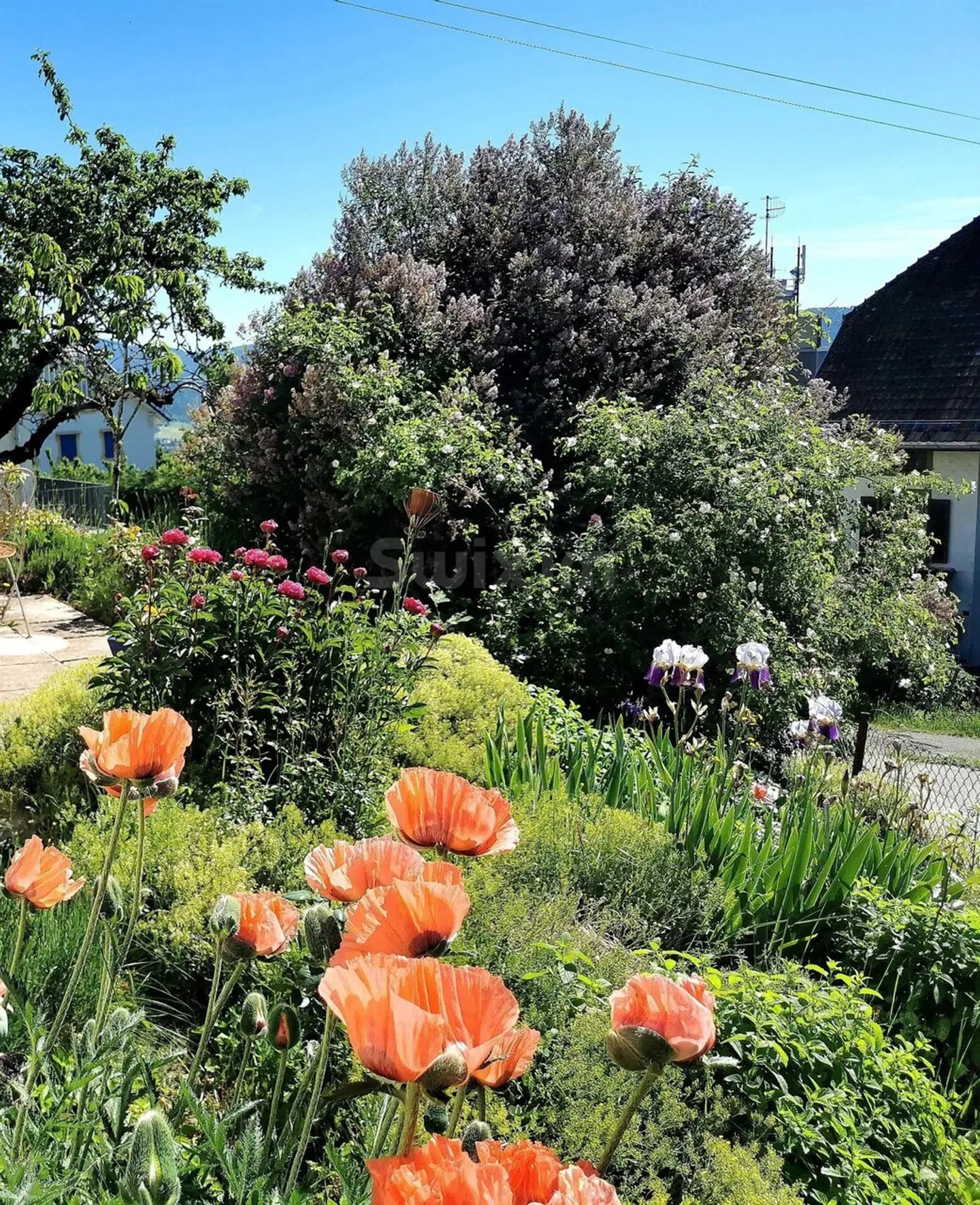 Charmante maison individuelle à Val-de-Ruz - Photo 6 sur 7
