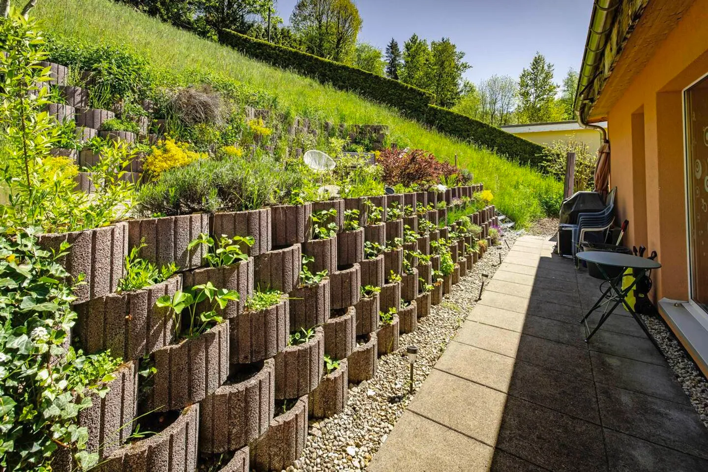 Near the city center, in a natural setting - Photo 2 of 13