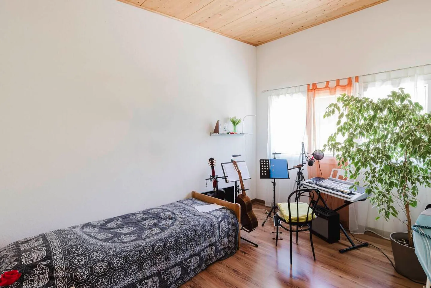 Near the city center, in a natural setting - Photo 8 of 13