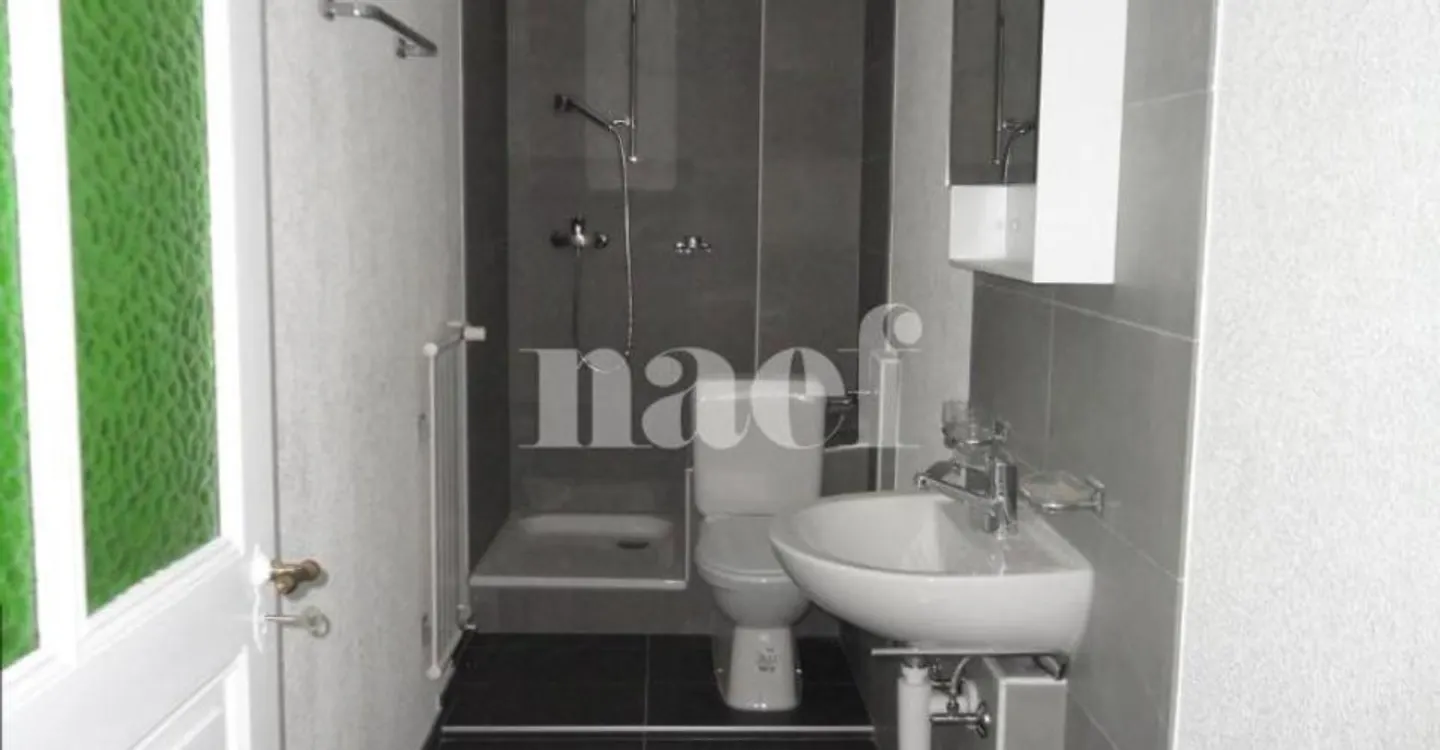 Appartement spacieux 4 pièces - Photo 6 sur 7