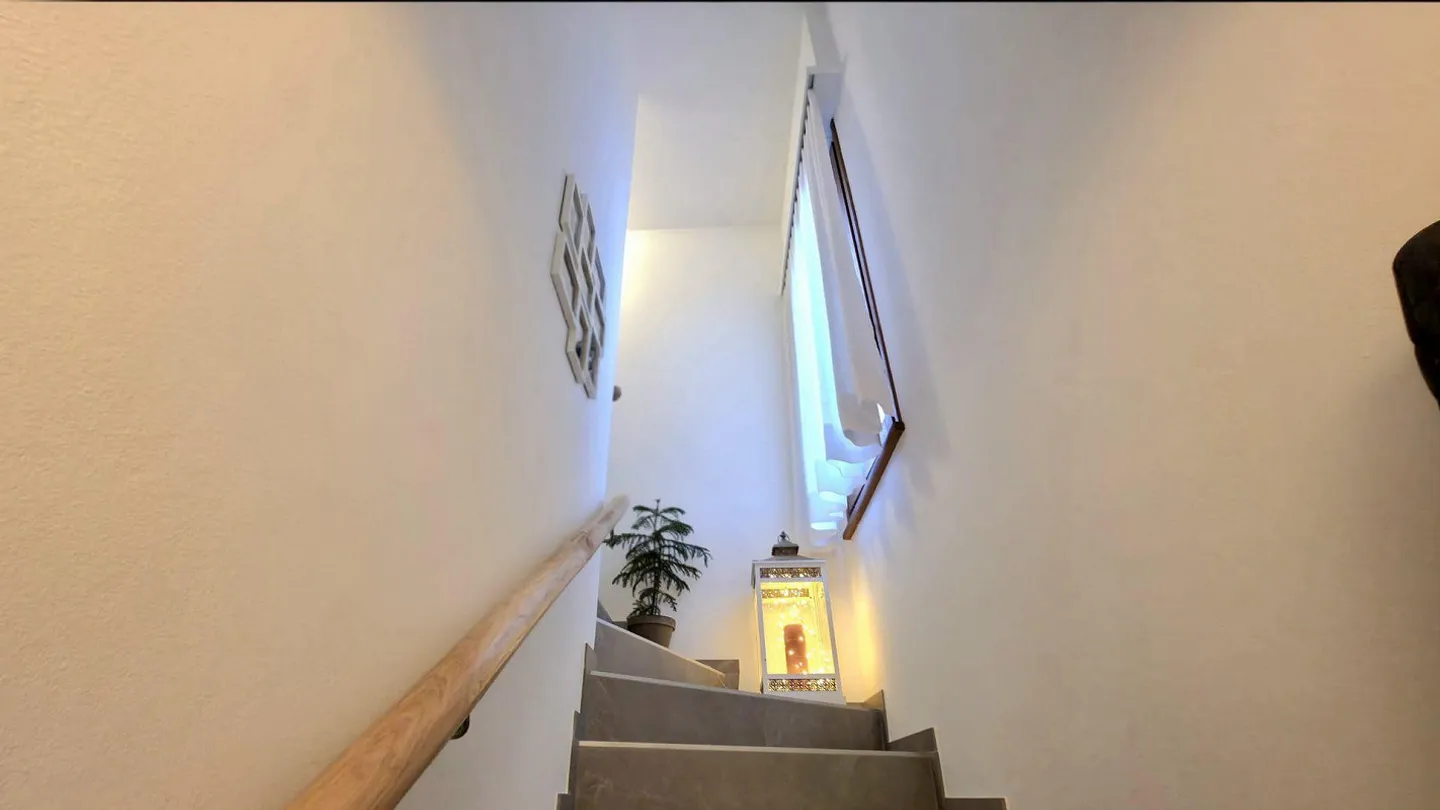 Oasis of Peace - Photo 5 of 10