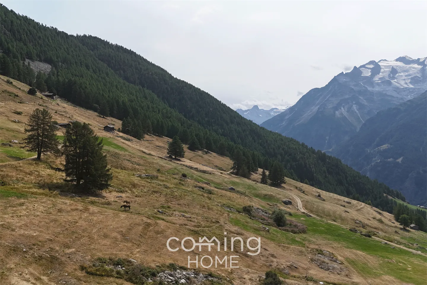 Sunny building plot with breathtaking views in Gspon - Photo 3 of 8