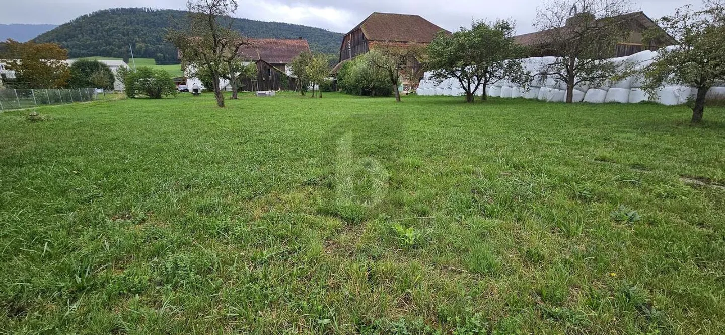 Peaceful Building Plot in Vicques - Photo 3 of 6