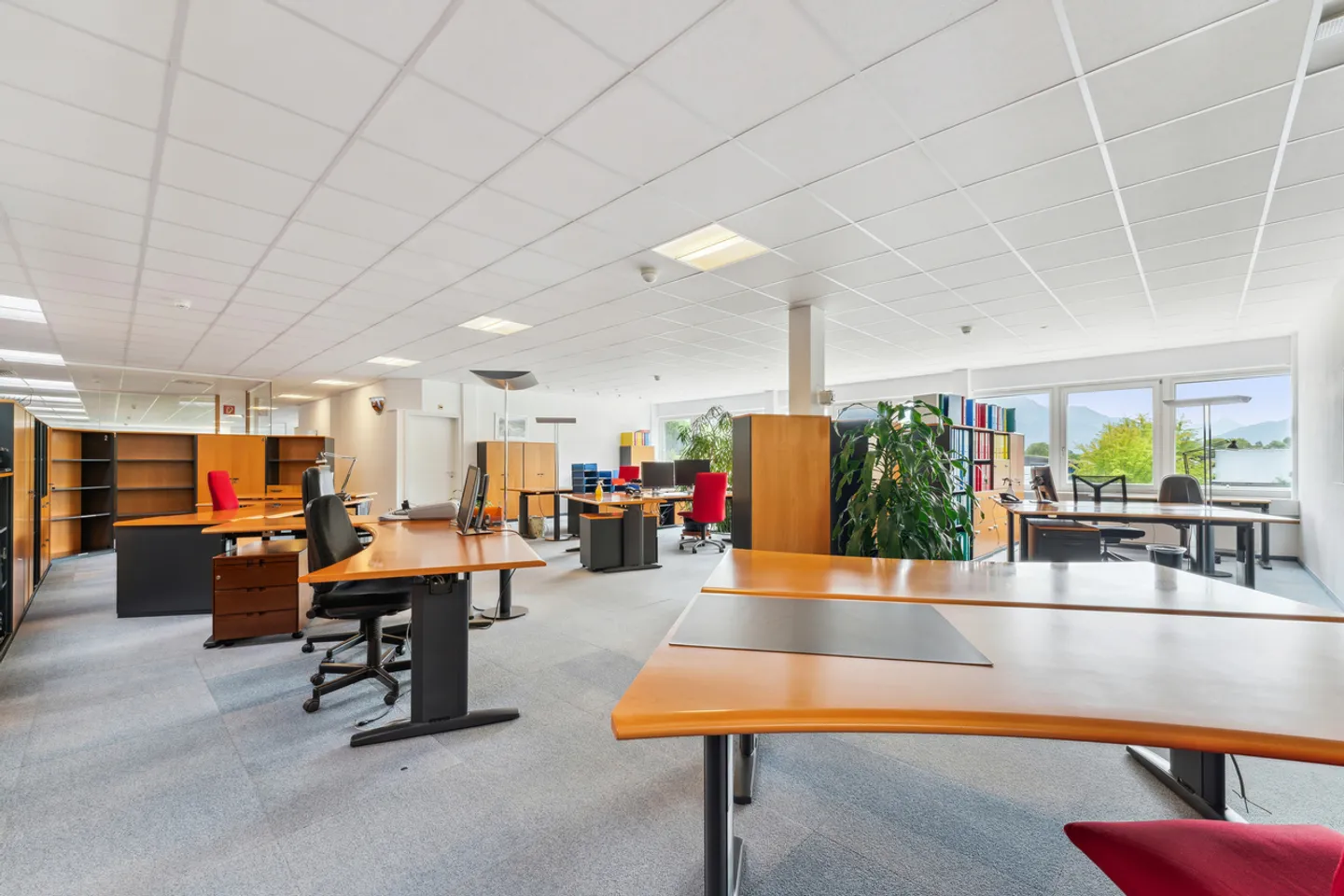 8'400 m² - Logistik/Labor/Fabrik - Eingang Wallis - Foto 4 von 12