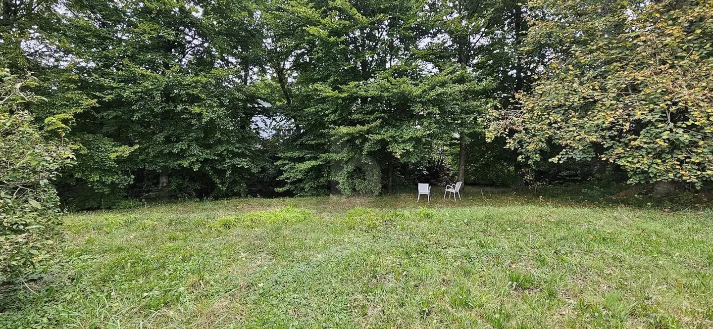 Peaceful Building Plot in Vicques - Photo 4 of 6