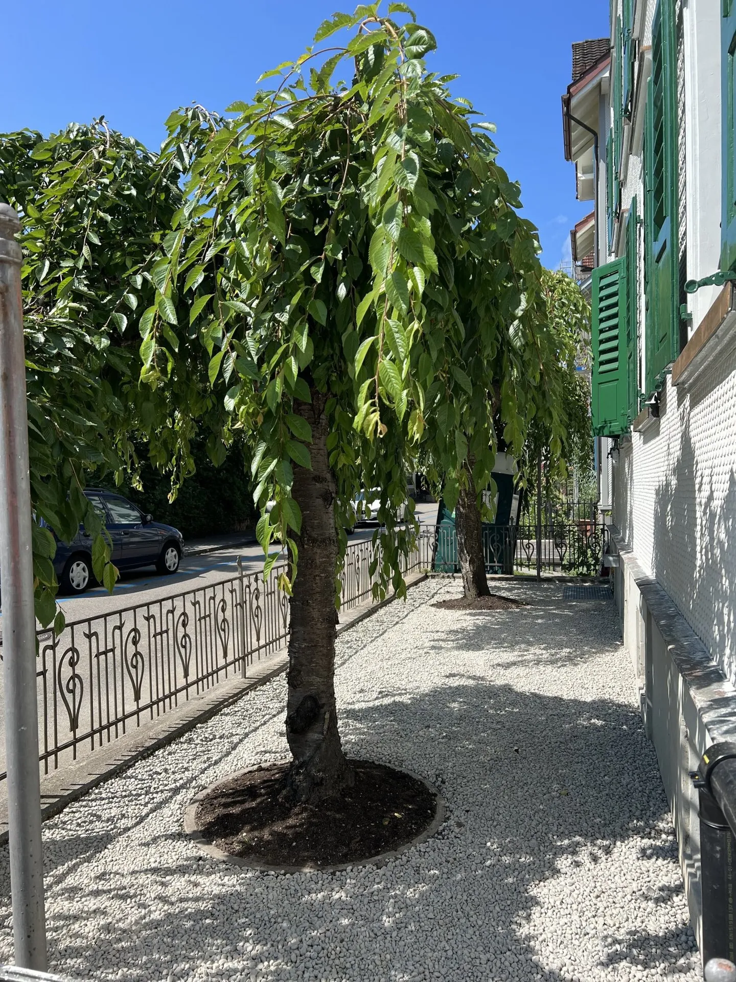 Gemütliche 1.5 Zimmer Gartenwohnung mit Terrasse - Foto 7 von 8