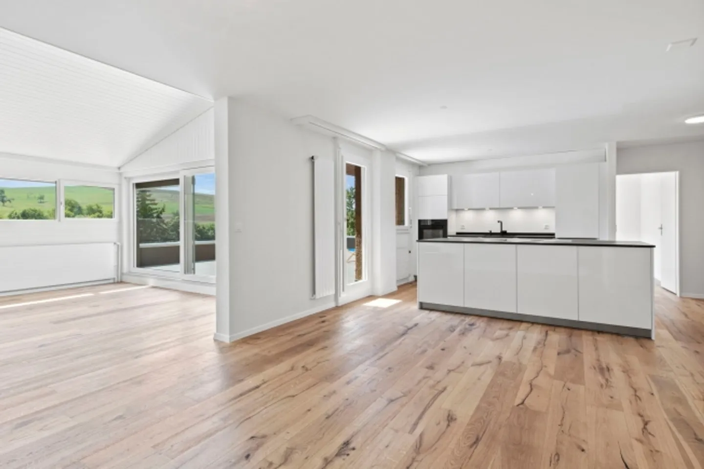 Moderno appartamento di 4,5 stanze con vista a Beggingen - Foto 3 di 13