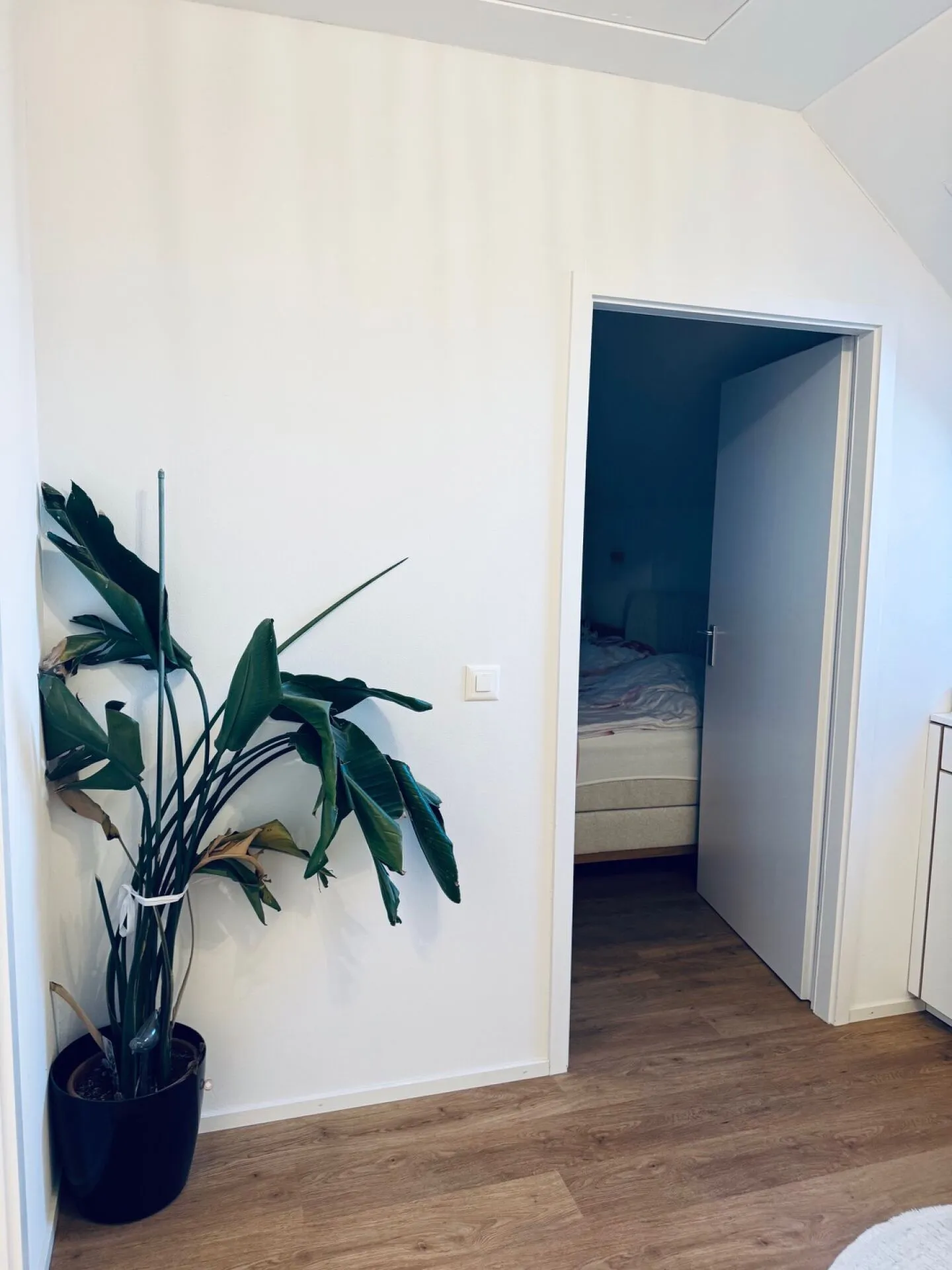 Einfamilienhaus - Foto 18 von 32