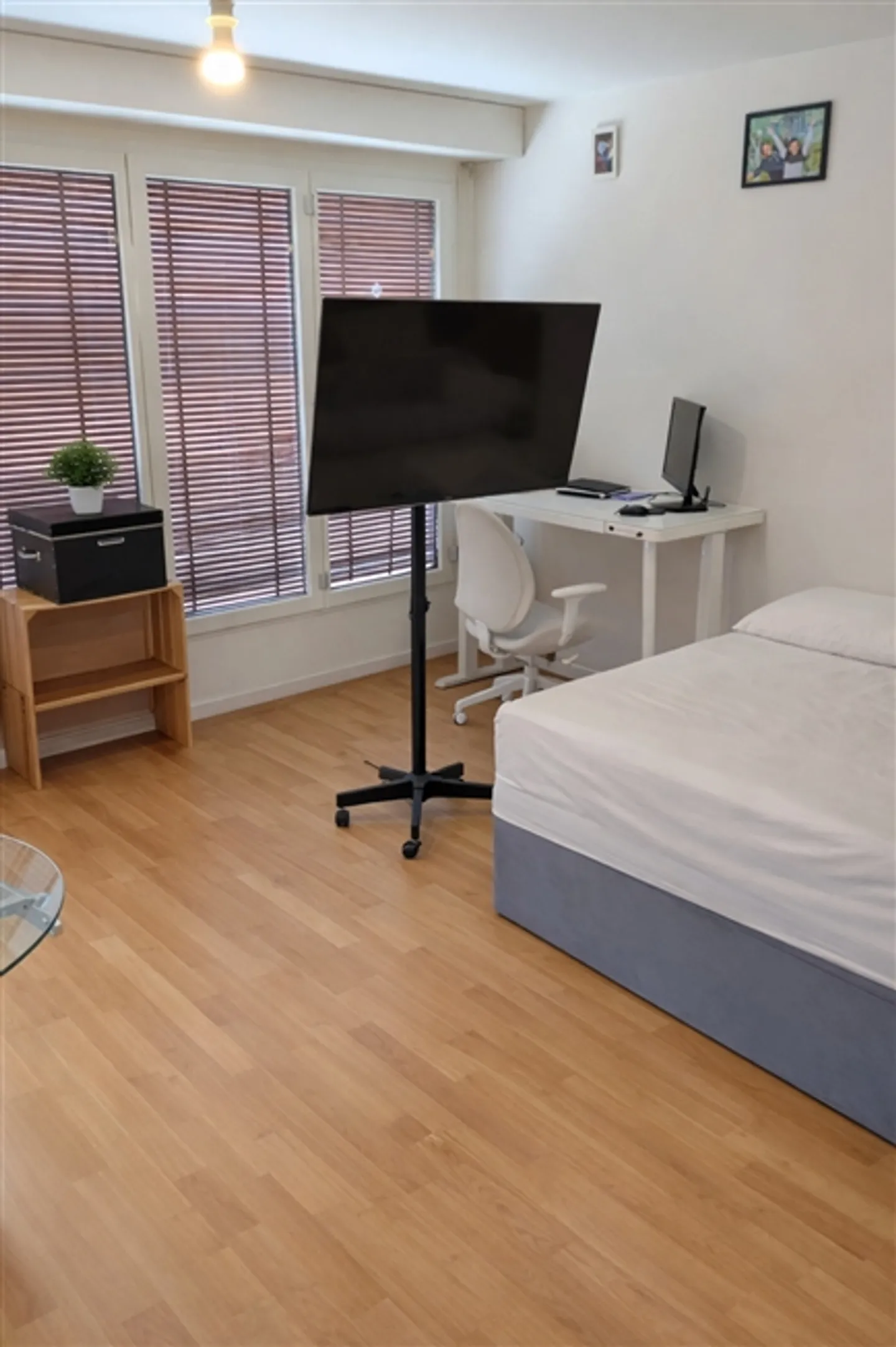 APPARTAMENTO 1 STANZA A ZURIGO - DISTRETTO 7 WITIKON, ARREDATO, TEMPORANEO - Foto 2 di 7