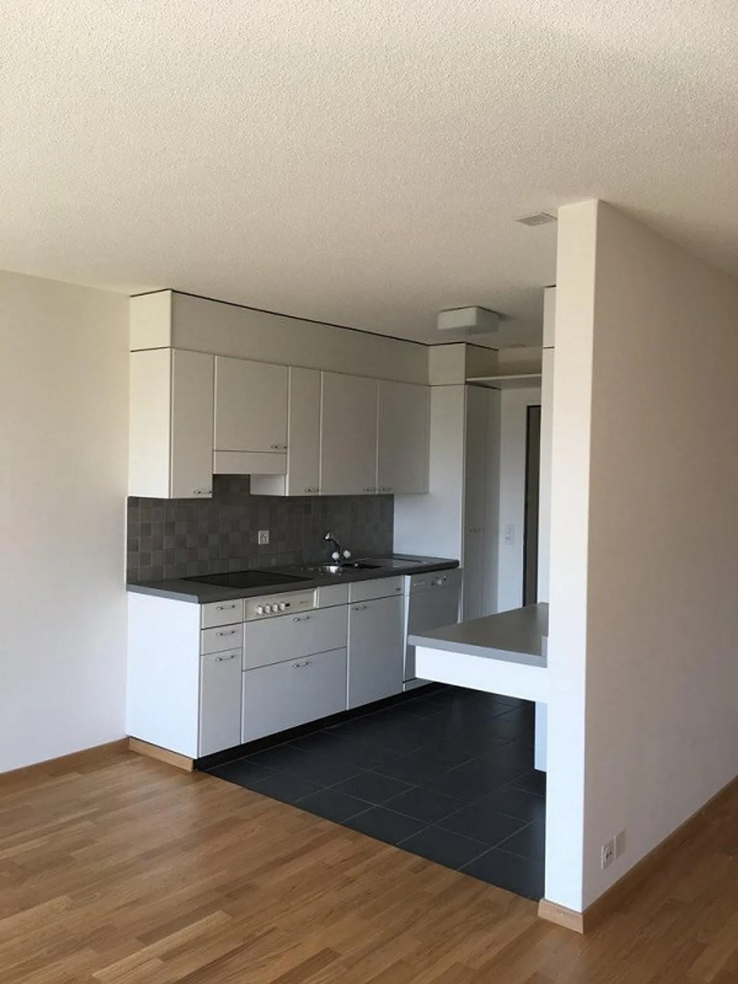 MIETEN OHNE KAUTION - Grosszügige Wohnung mit Blick auf den Zürichsee - Foto 3 von 5