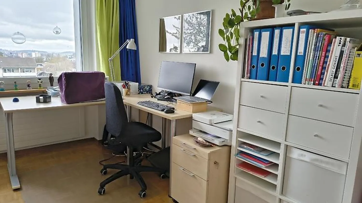 APPARTAMENTO 3½ LOCALI A WINTERTHUR - LAGHI, ARREDATO, TEMPORANEO - Foto 4 di 7
