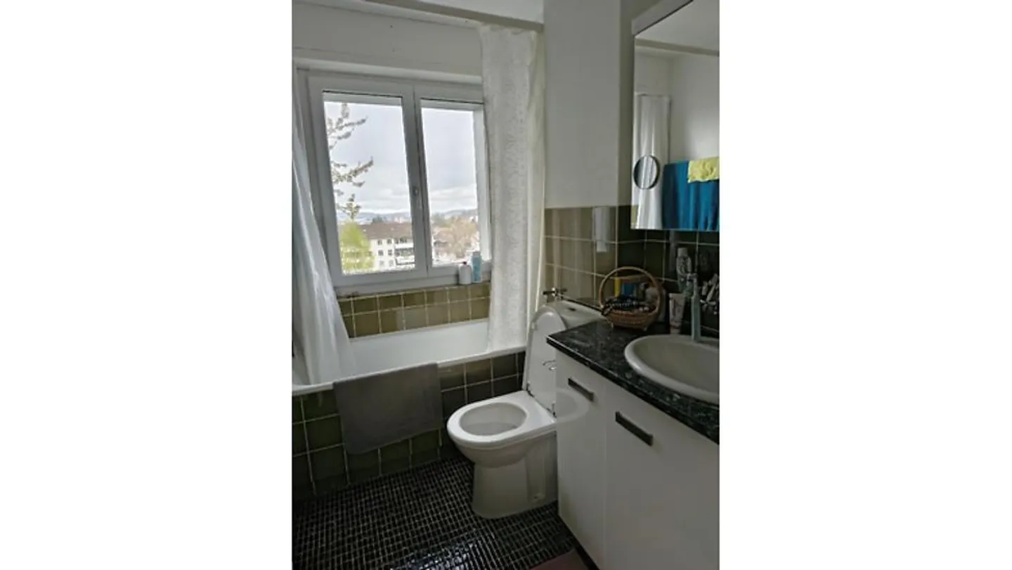 APPARTAMENTO 3½ LOCALI A WINTERTHUR - LAGHI, ARREDATO, TEMPORANEO - Foto 6 di 7