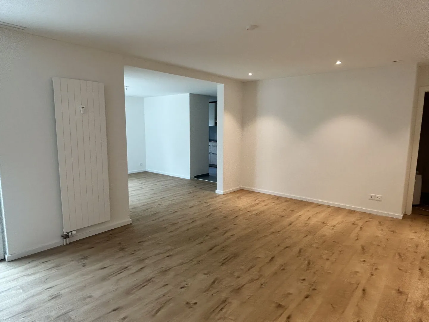 Prima occupazione dopo ristrutturazione - Appartamento con giardino ora in affitto - Foto 3 di 10