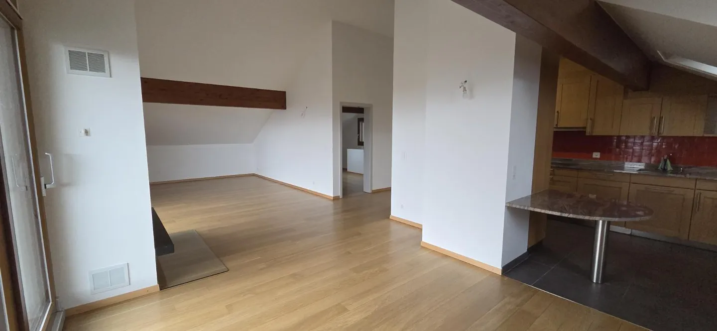 Superb and unique duplex apartment in the attic in Bernex - Photo 4 of 17