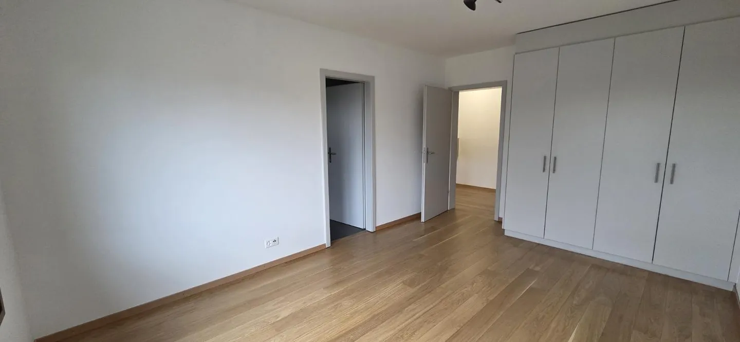 Superb and unique duplex apartment in the attic in Bernex - Photo 9 of 17