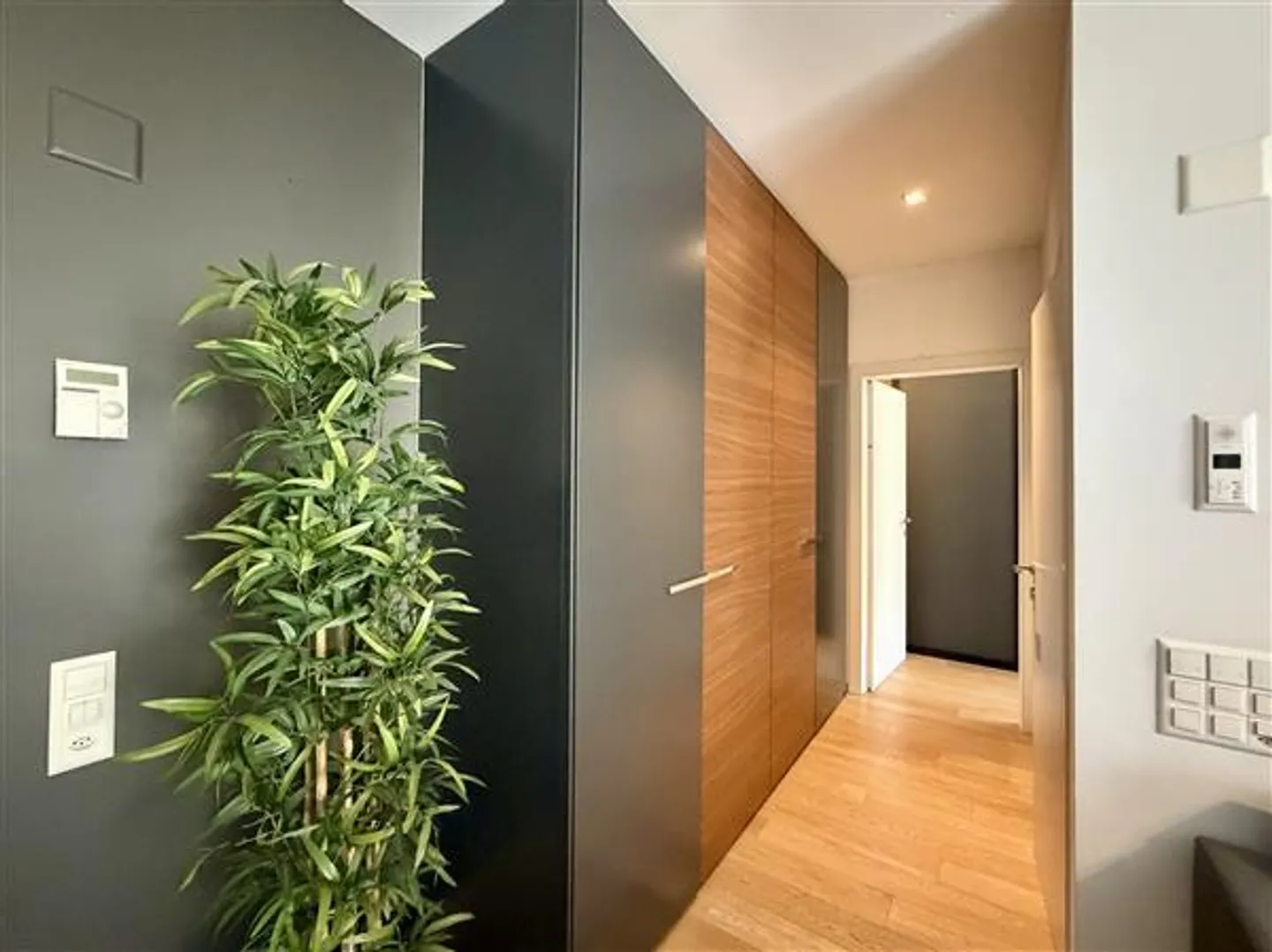 Lugano: Möblierte Wohnung 2.5 Zimmer - Foto 3 von 12