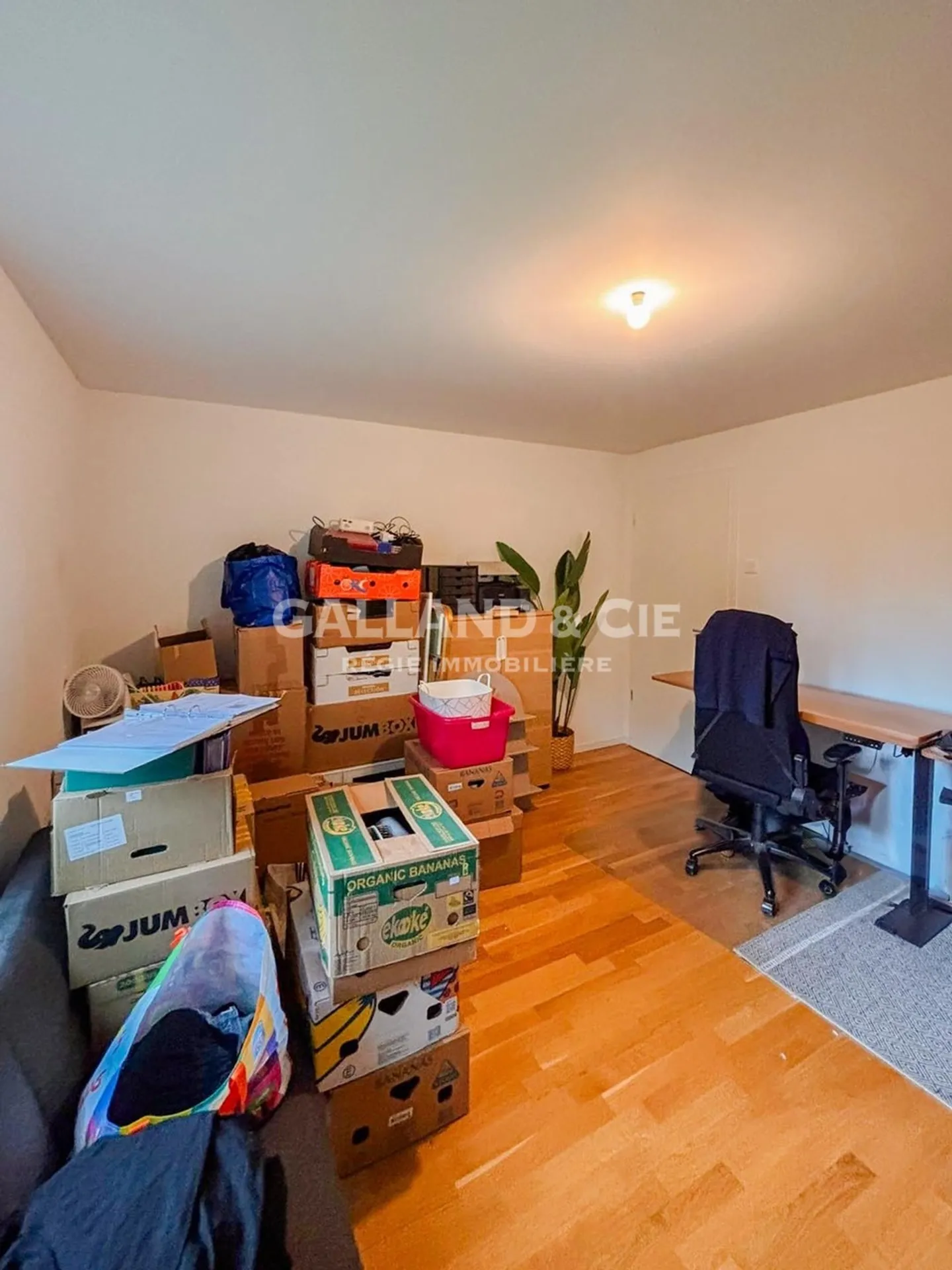 Appartement 3.5 pièces - Photo 9 sur 10