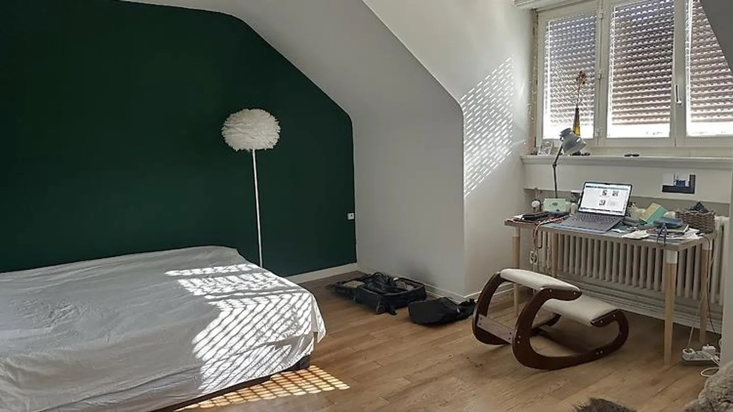 APPARTAMENTO SOTTO IL TETTO DI 3 CAMERE A BERN - FISCHERMÄTTELI, ARREDATO, TEMPORANEO - Foto 1 di 5