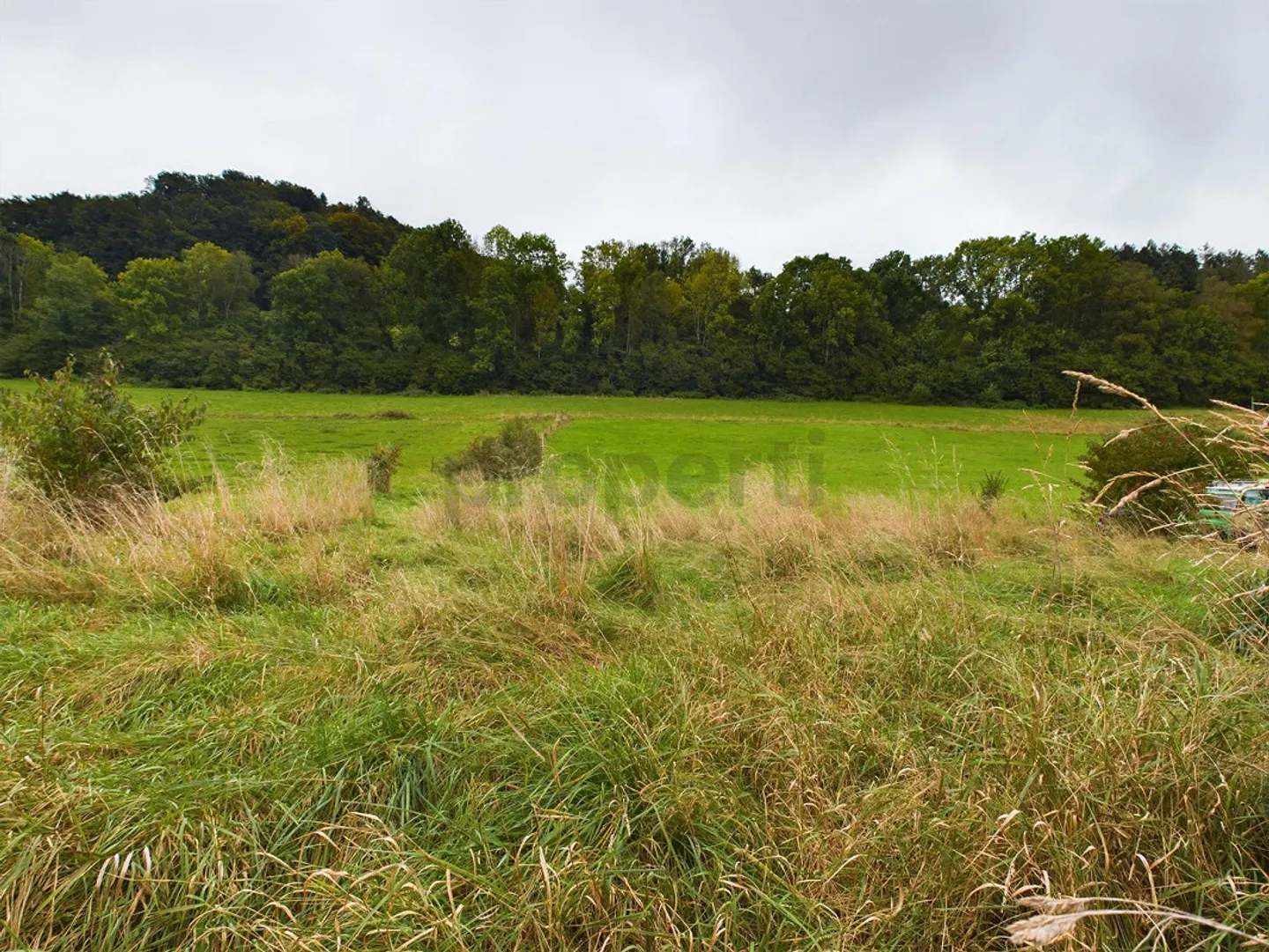 Terrain de construction polyvalent en zone mixte M2 – 648 m² pour vivre et travailler - Photo 6 sur 8