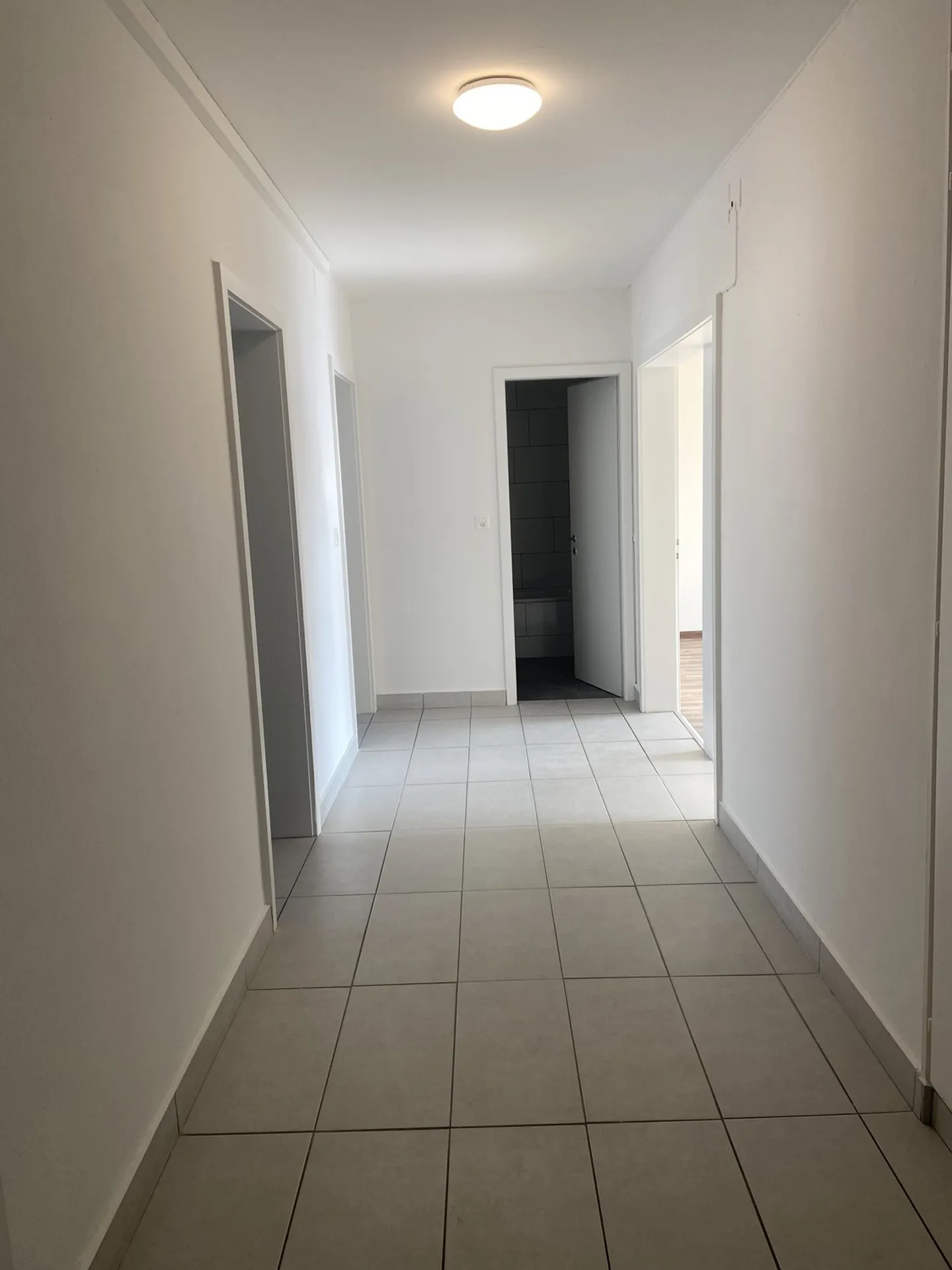 Incantevole monolocale a Basilea - Foto 3 di 6