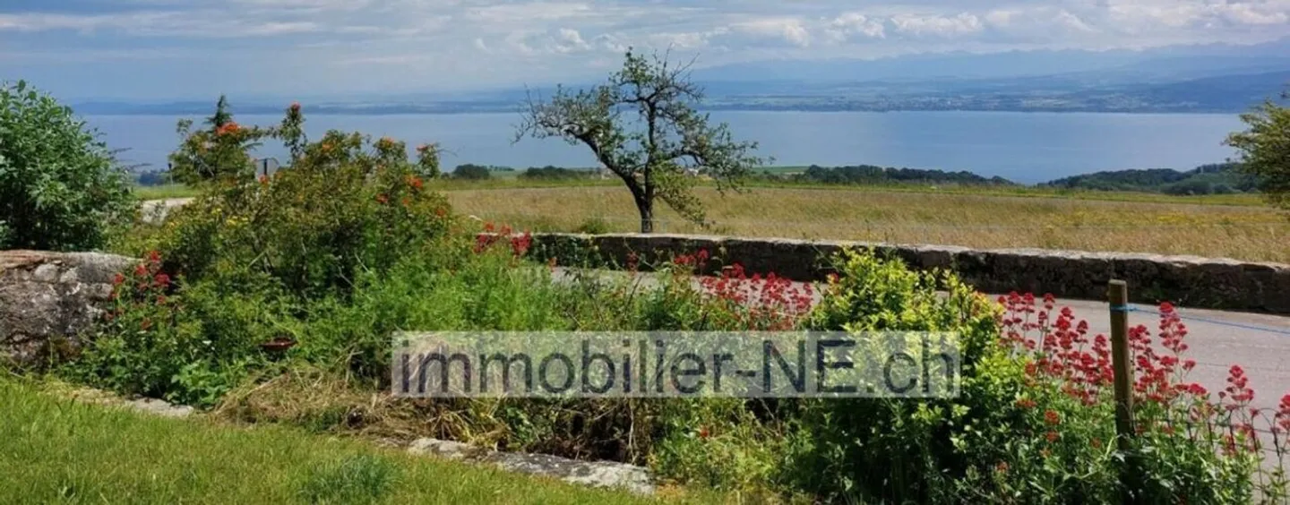 Fattoria incantevole con vista sul lago e sulle Alpi che comprende due appartamenti - Foto 1 di 16