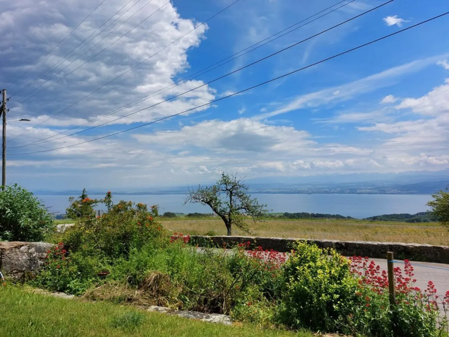 Fattoria incantevole con vista sul lago e sulle Alpi che comprende due appartamenti - Foto 2 di 16