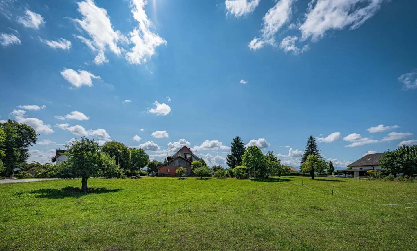Casa singola in affitto - Foto 4 di 8