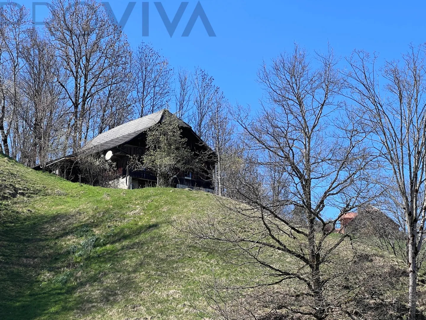 Modernes Einfamilienhaus in der Natur - Foto 3 von 4