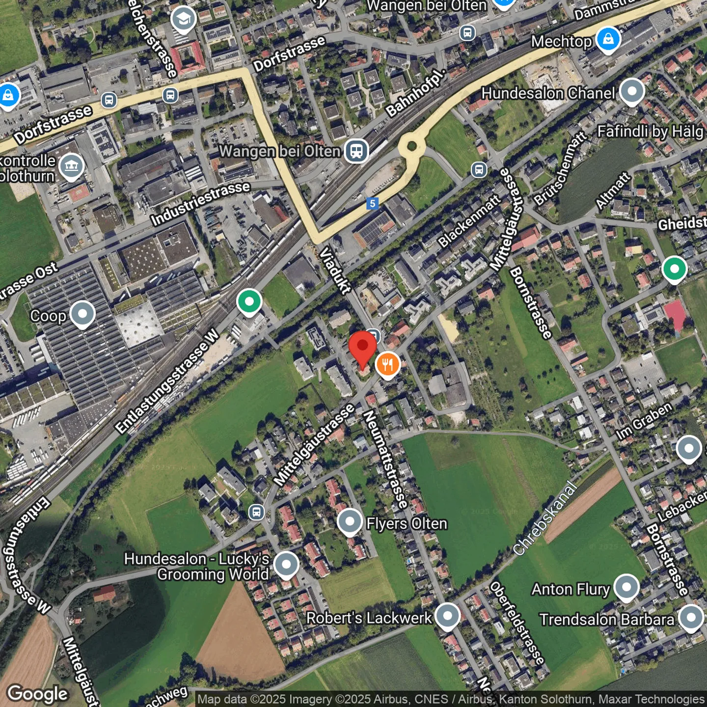 Modern multi-family house with parking garage in Wangen b. Olten - Photo 6 of 20