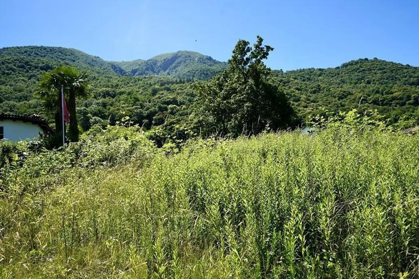 Terrain constructible avec vue panoramique magnifique sur le lac - Photo 9 sur 17